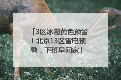 3区冰雹黄色预警！北京13区雷电预警，下班早回家