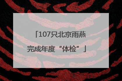 107只北京雨燕完成年度“体检”