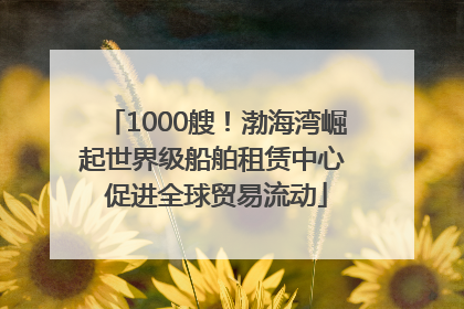 1000艘！渤海湾崛起世界级船舶租赁中心 促进全球贸易流动