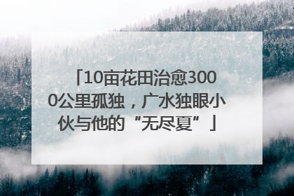 10亩花田治愈3000公里孤独，广水独眼小伙与他的“无尽夏”