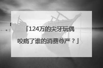 124万的尖牙玩偶 咬痛了谁的消费尊严？