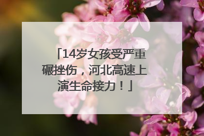 14岁女孩受严重碾挫伤，河北高速上演生命接力！