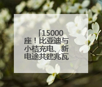 15000座！比亚迪与小桔充电、新电途共建兆瓦闪充生态