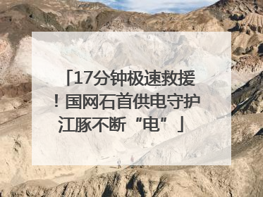 17分钟极速救援！国网石首供电守护江豚不断“电”