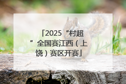 2025“村超”全国赛江西（上饶）赛区开赛