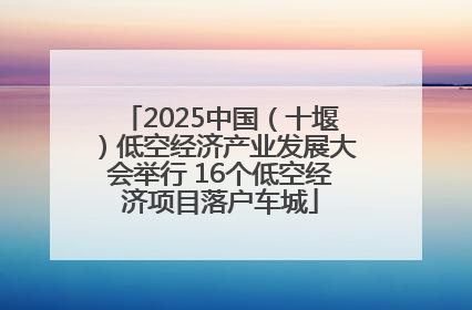 2025中国（十堰）低空经济产业发展大会举行 16个低空经济项目落户车城