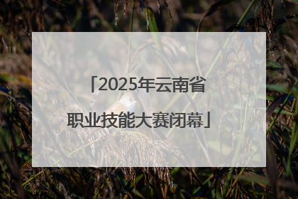2025年云南省职业技能大赛闭幕