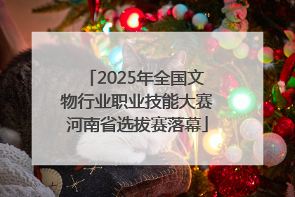 2025年全国文物行业职业技能大赛河南省选拔赛落幕