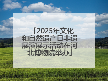 2025年文化和自然遗产日非遗展演展示活动在河北博物院举办