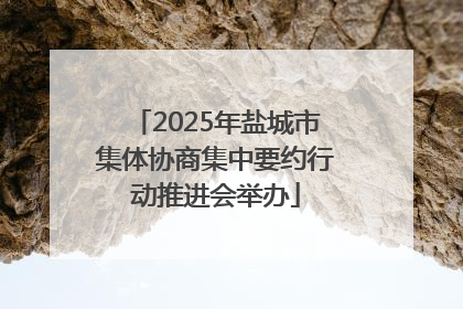 2025年盐城市集体协商集中要约行动推进会举办