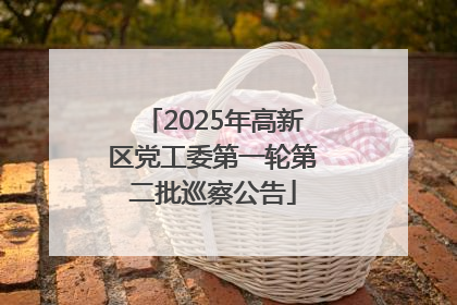 2025年高新区党工委第一轮第二批巡察公告