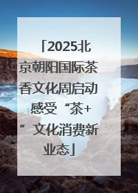 2025北京朝阳国际茶香文化周启动 感受“茶+”文化消费新业态