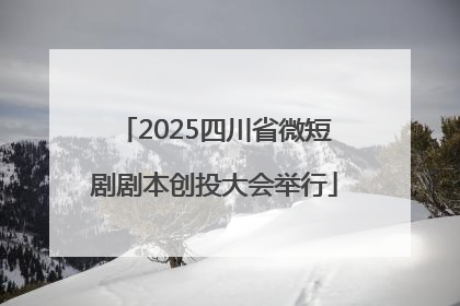 2025四川省微短剧剧本创投大会举行