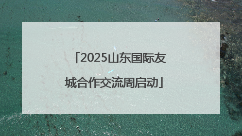 2025山东国际友城合作交流周启动