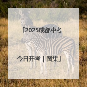 2025成都中考今日开考｜图集