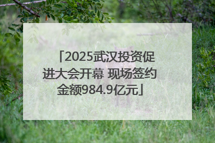 2025武汉投资促进大会开幕 现场签约金额984.9亿元