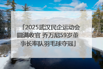 2025武汉民企运动会圆满收官 乔万尼59岁董事长率队羽毛球夺冠