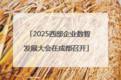 2025西部企业数智发展大会在成都召开