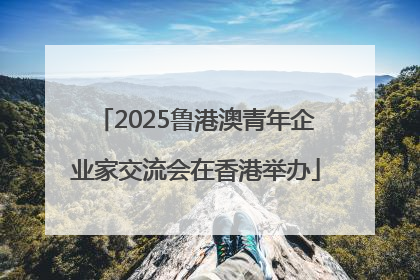2025鲁港澳青年企业家交流会在香港举办