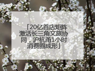 20亿首店矩阵激活长三角文旅协同，沪杭甬1小时消费圈成形