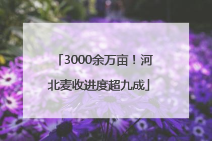 3000余万亩！河北麦收进度超九成