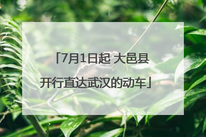 7月1日起 大邑县开行直达武汉的动车