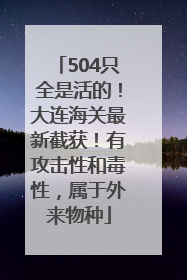 504只全是活的！大连海关最新截获！有攻击性和毒性，属于外来物种
