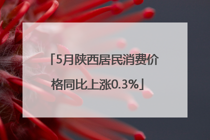 5月陕西居民消费价格同比上涨0.3%
