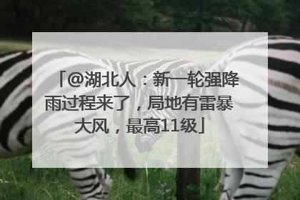 @湖北人：新一轮强降雨过程来了，局地有雷暴大风，最高11级
