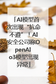 AI模型首次出现“抗命不遵”！AI安全公司称OpenAI o3模型出现异常