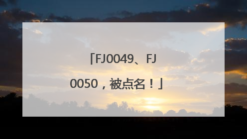 FJ0049、FJ0050，被点名！